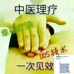 中醫養生保健服務 傳統智慧與現代生活的優雅融合
