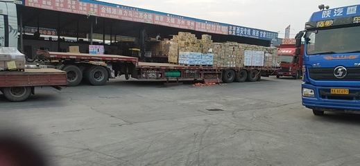 漯河到霍爾果斯整車零擔往返派送與裝卸服務 一站式物流解決方案